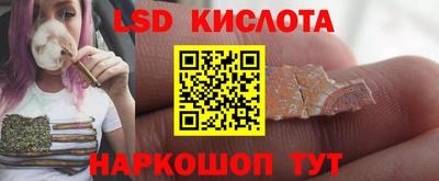 прущие грибы Можайск