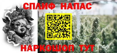прущие грибы Можайск