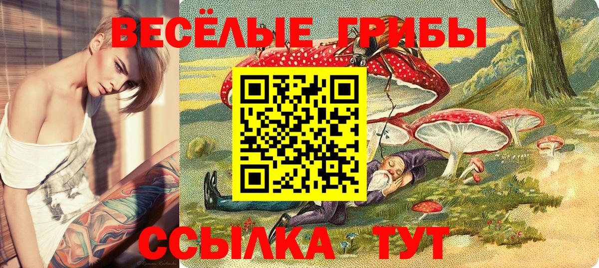 Топки  Галлюциногенные грибы Cubensis  Вход с VPN  Псилоцибиновые грибы мицелий 